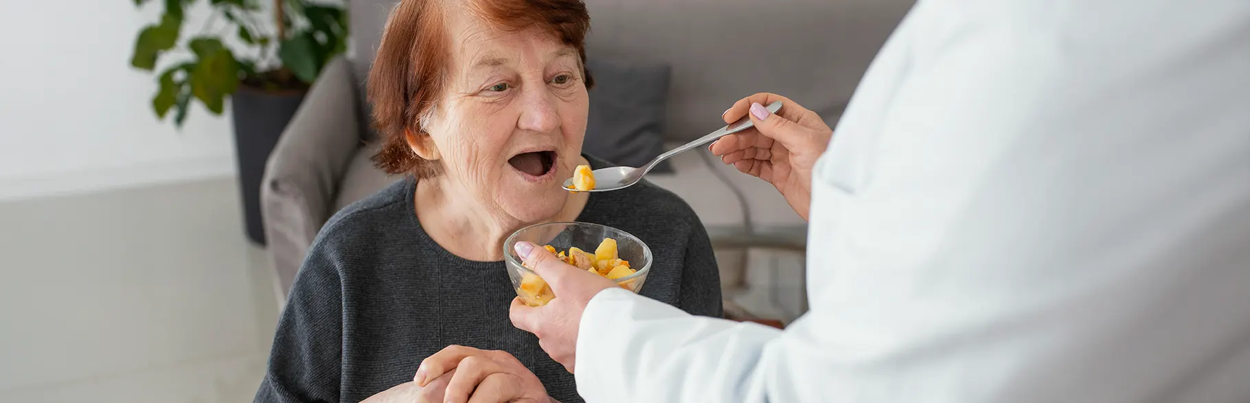 Mujer mayor siendo alimentada por un enfermero en su casa 